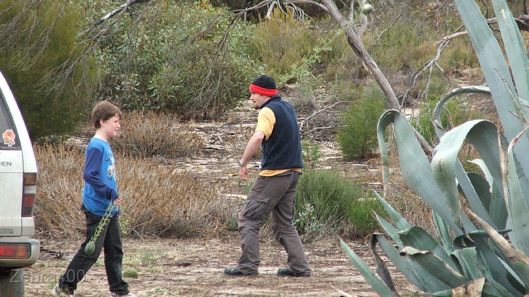 14-Tom & Lachlan go to war with Paddy Melons at Cactus Bore.JPG